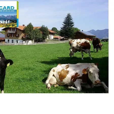 Апартаменты Bio-ferienhof Beim Sima *